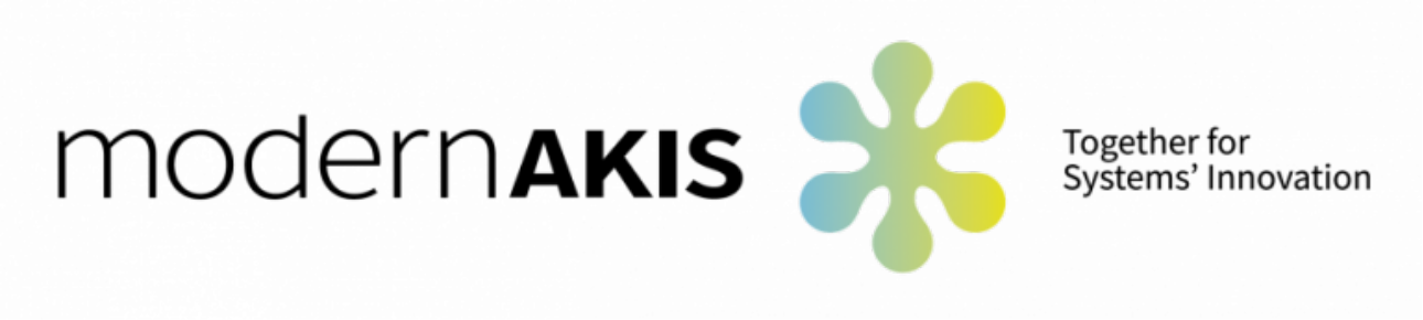 modernAKIS logo